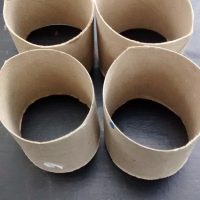 Rollos de papel higiénico