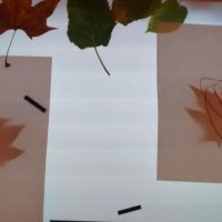 Pintando hojas
