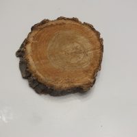 Tronco de arbol