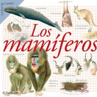Los mamíferos. Guía de Campo